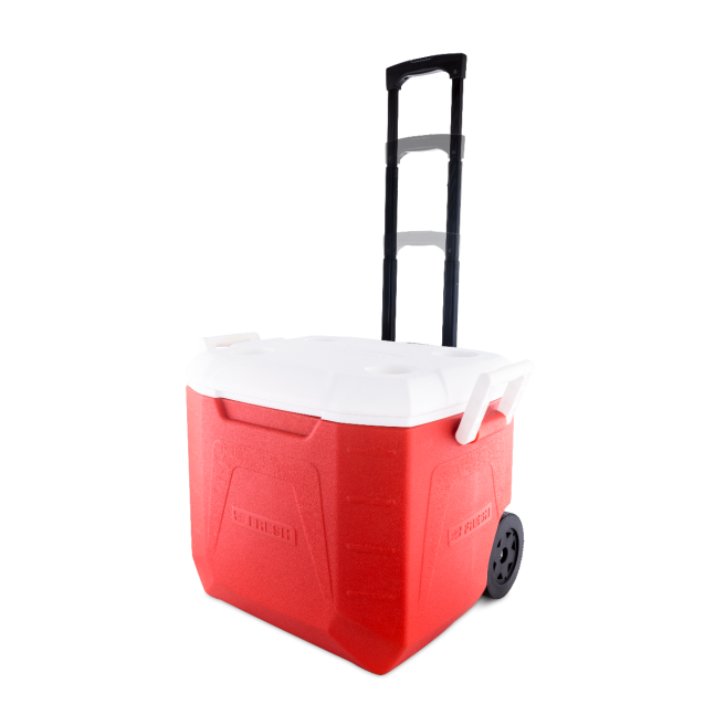 Fresh Ice Box 48 liter