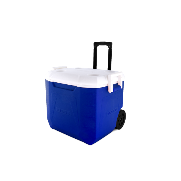 Fresh Ice Box 48 liter